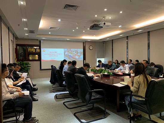 落实全面从严治党  高质量发展迎百年华诞――KY开元集团党委召开2020年基层党支部书记抓党建工作述职评议会议